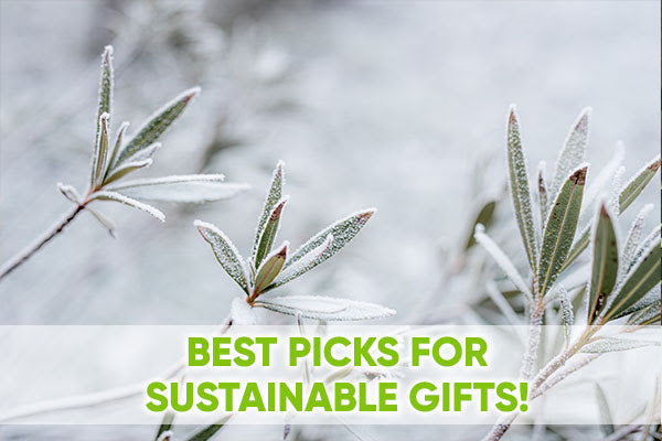 It's Not Too Late to Get a Sustainable Gift! ๐