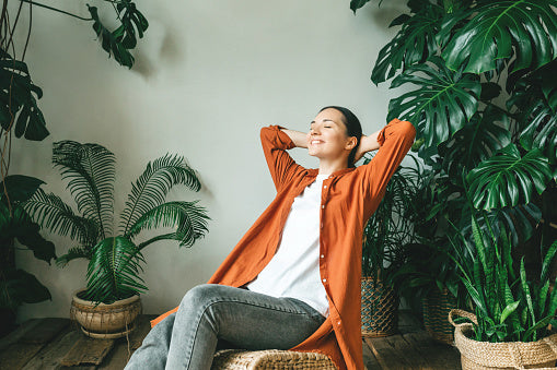 Tips and Products to Create a Sustainable Office