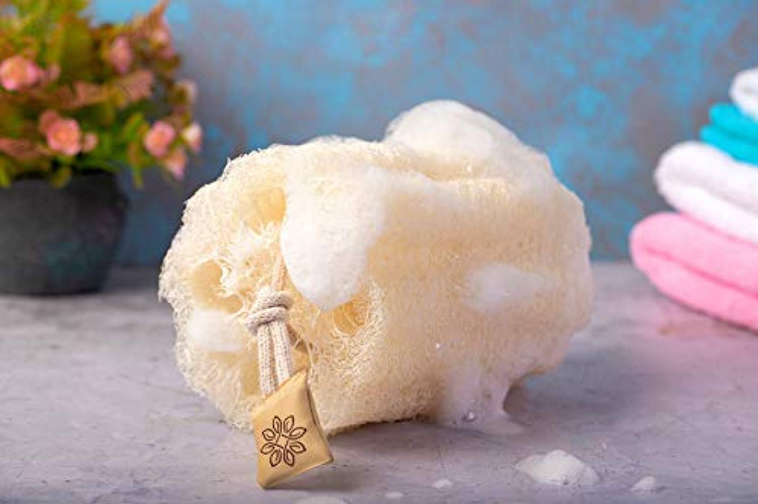 Natural Shower Loofah Sponge - Eco Trade Company