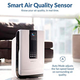 Air Purifier, 5-in-1 Large Room Air Cleaner & Deodorizer for Allergies, Pets, Asthma, Smokers, Odors - Eco Trade Company