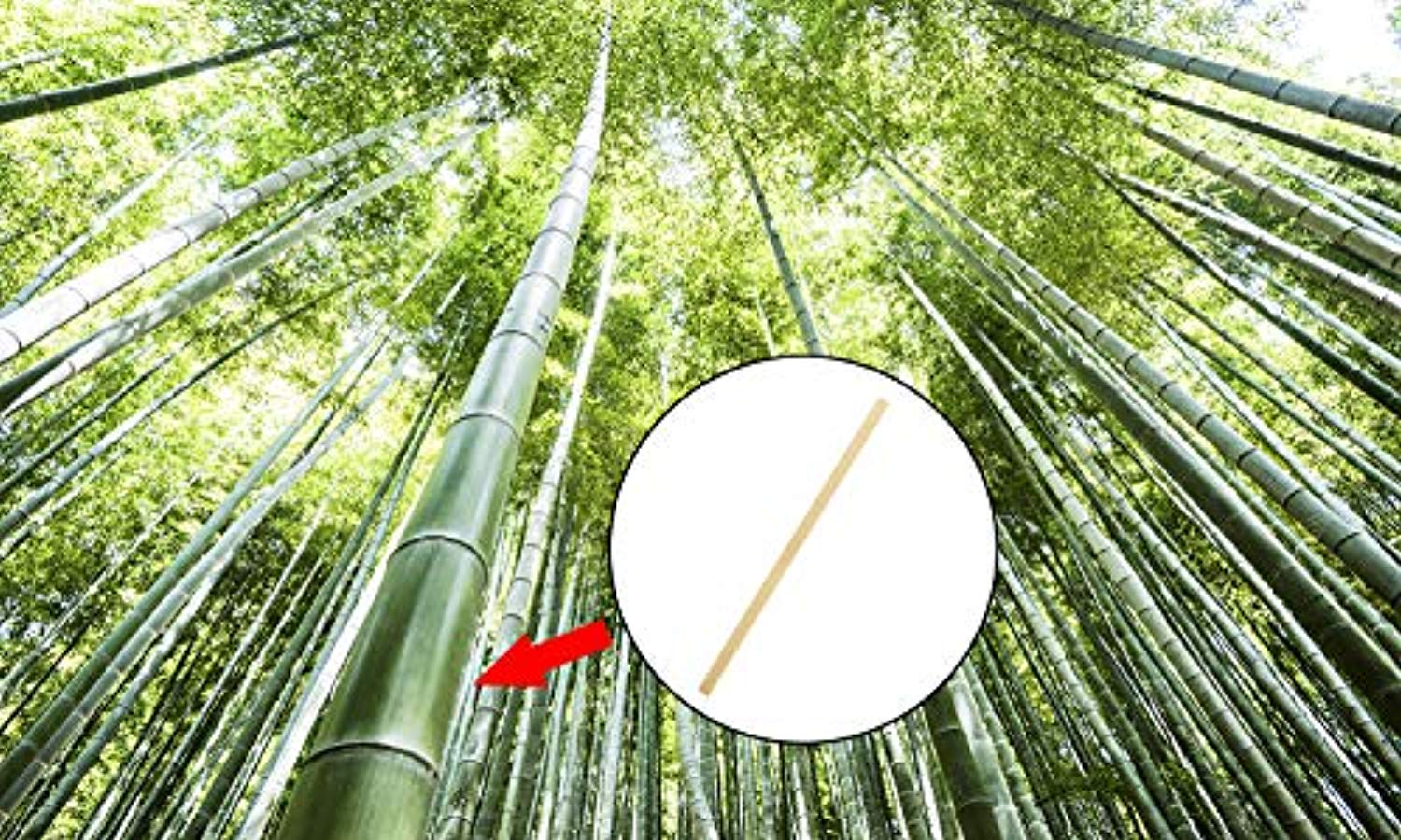 Eco Friendly Biodegradable Stir Sticks - Eco Trade Company