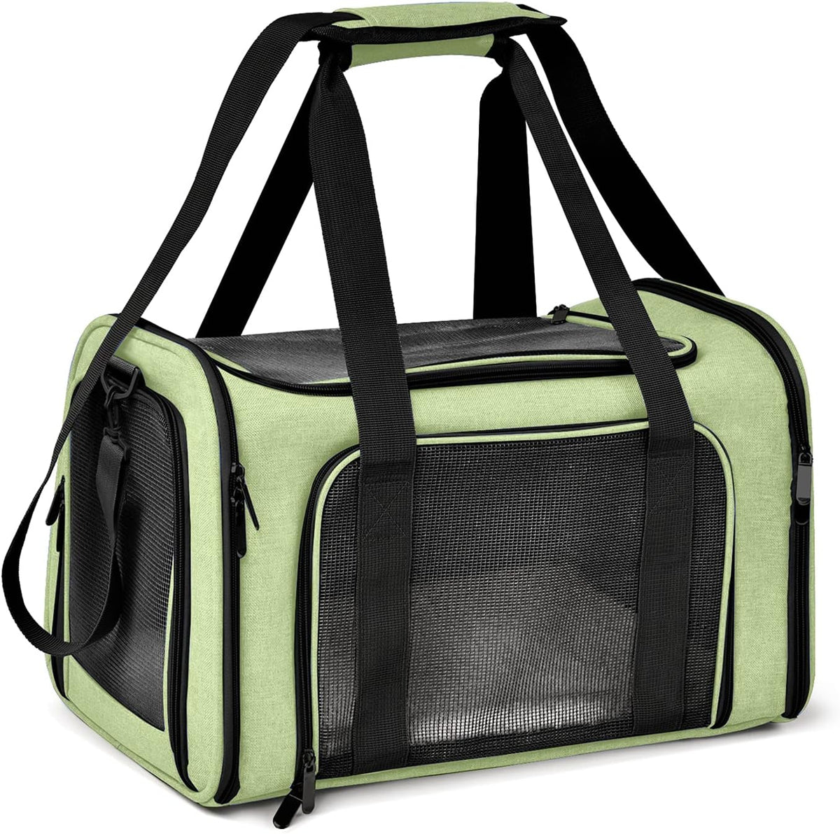 Pet Travel Carrier: Hard-Sided Carrier, Cat Carrier, Small Animal Carr –  PetsWorld