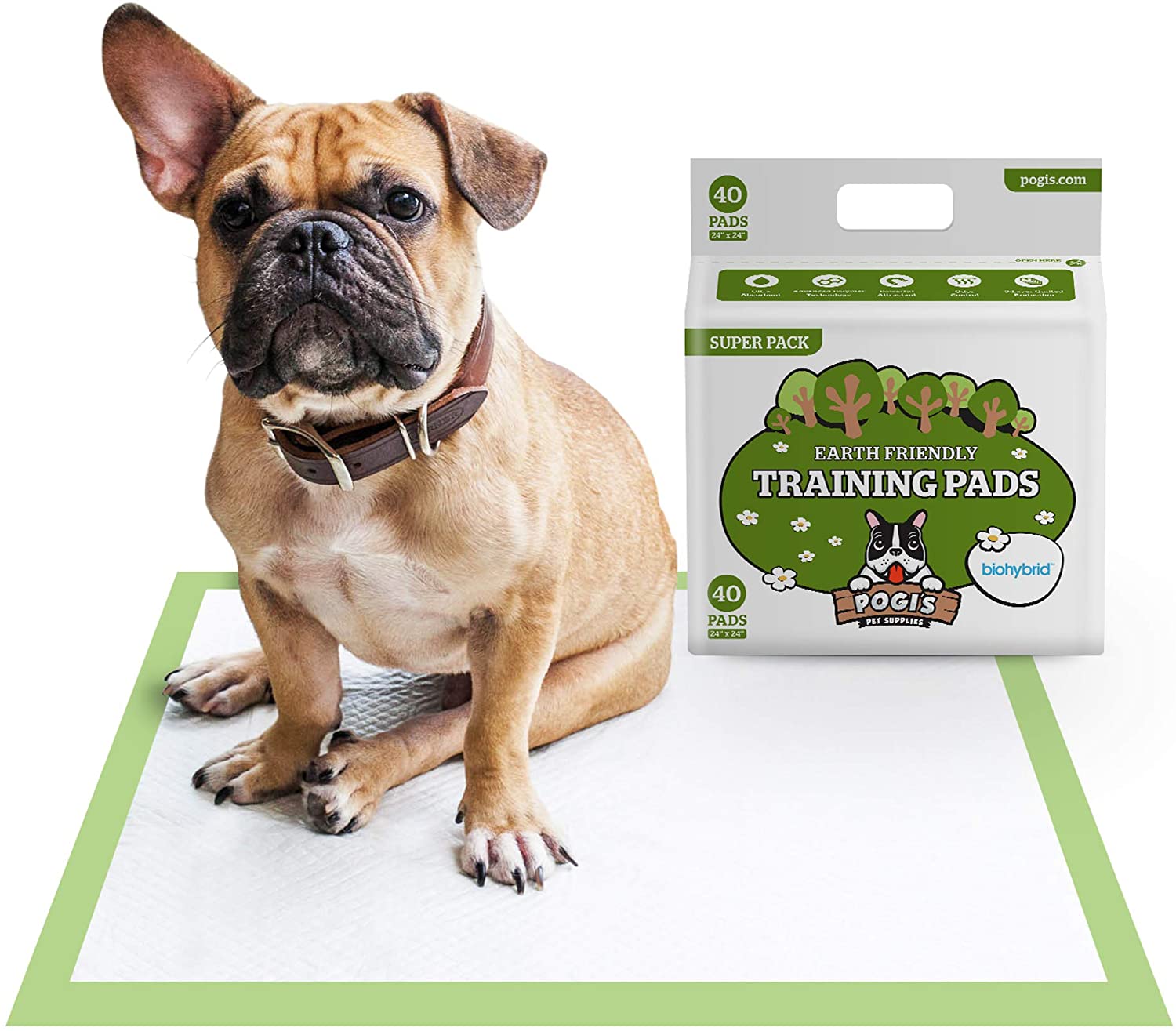 Training Pads - Large, Super-Absorbent, Earth-Friendly Puppy Pee Pads for Dogs - Eco Trade Company