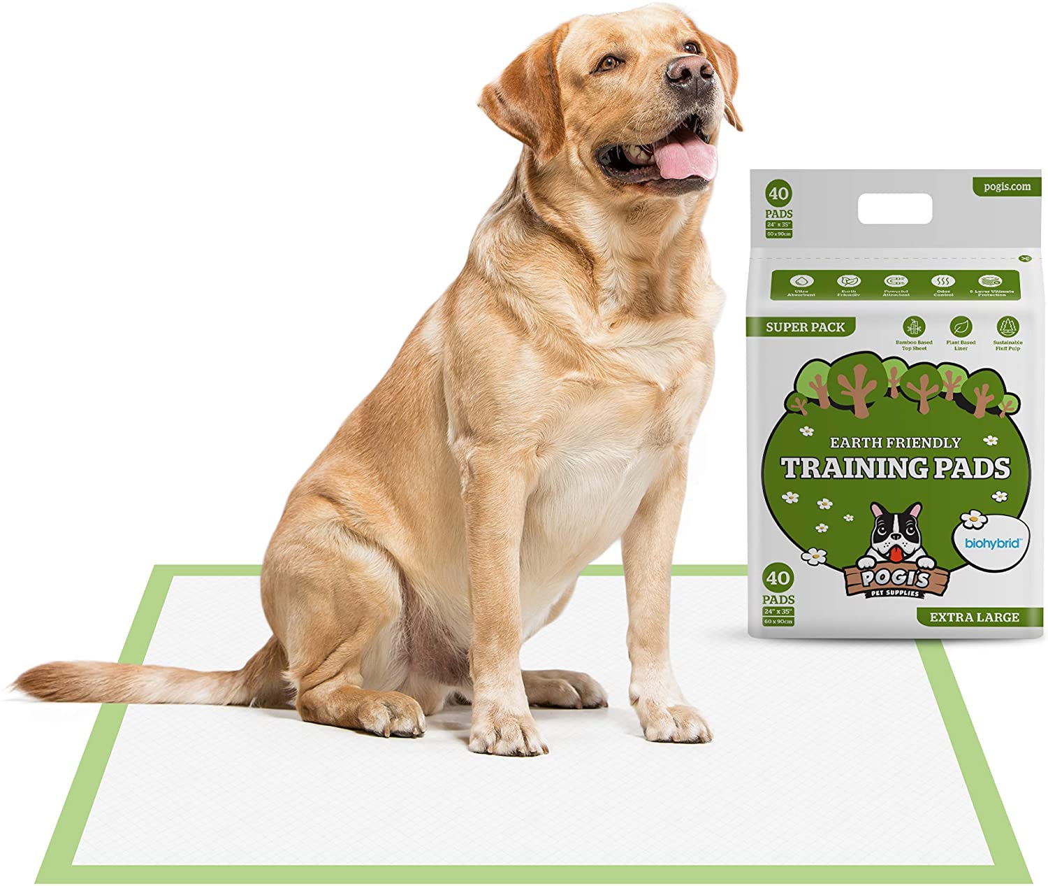 Training Pads - Large, Super-Absorbent, Earth-Friendly Puppy Pee Pads for Dogs - Eco Trade Company