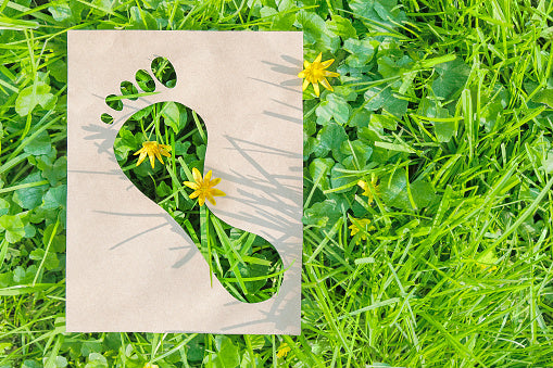 10 Simple Ways to Reduce Your Carbon Footprint