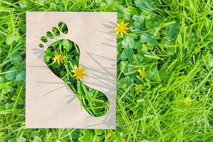 10 Simple Ways to Reduce Your Carbon Footprint