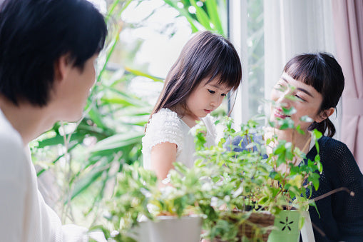 A Parent's Guide to Raising an Eco-Conscious Family