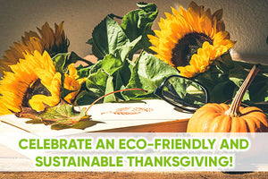 Shop Eco-Friendly & Green this Thanksgiving! 🦃