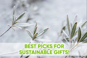 It's Not Too Late to Get a Sustainable Gift! 🎁