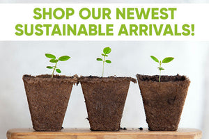 Shop Our Newest Sustainable Arrivals! 💚