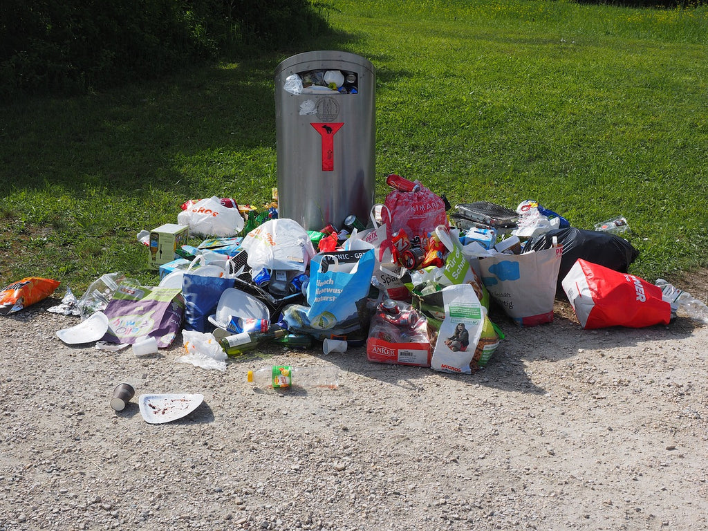 Teaching Kids the Importance of Proper Waste Disposal at Home