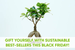 Gift Yourself with Sustainable Best-Sellers this Black Friday!