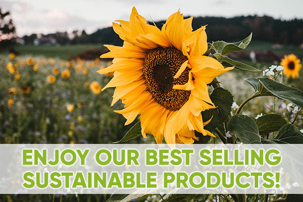 Best Selling Sustainable Products! 🌎☀️ ❤️