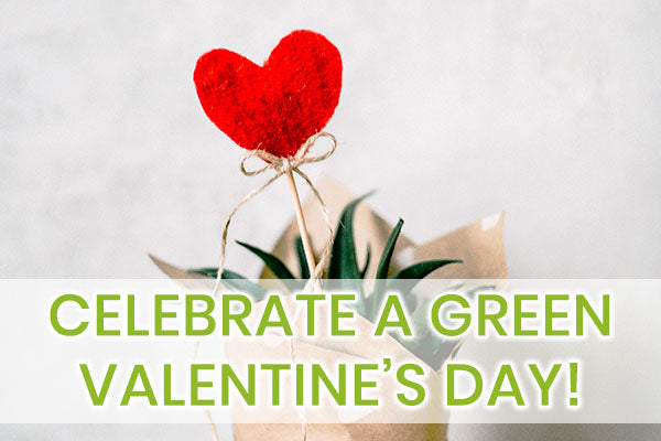 Celebrate Valentine's Day Sustainably with Eco-friendly & Sustainable Products