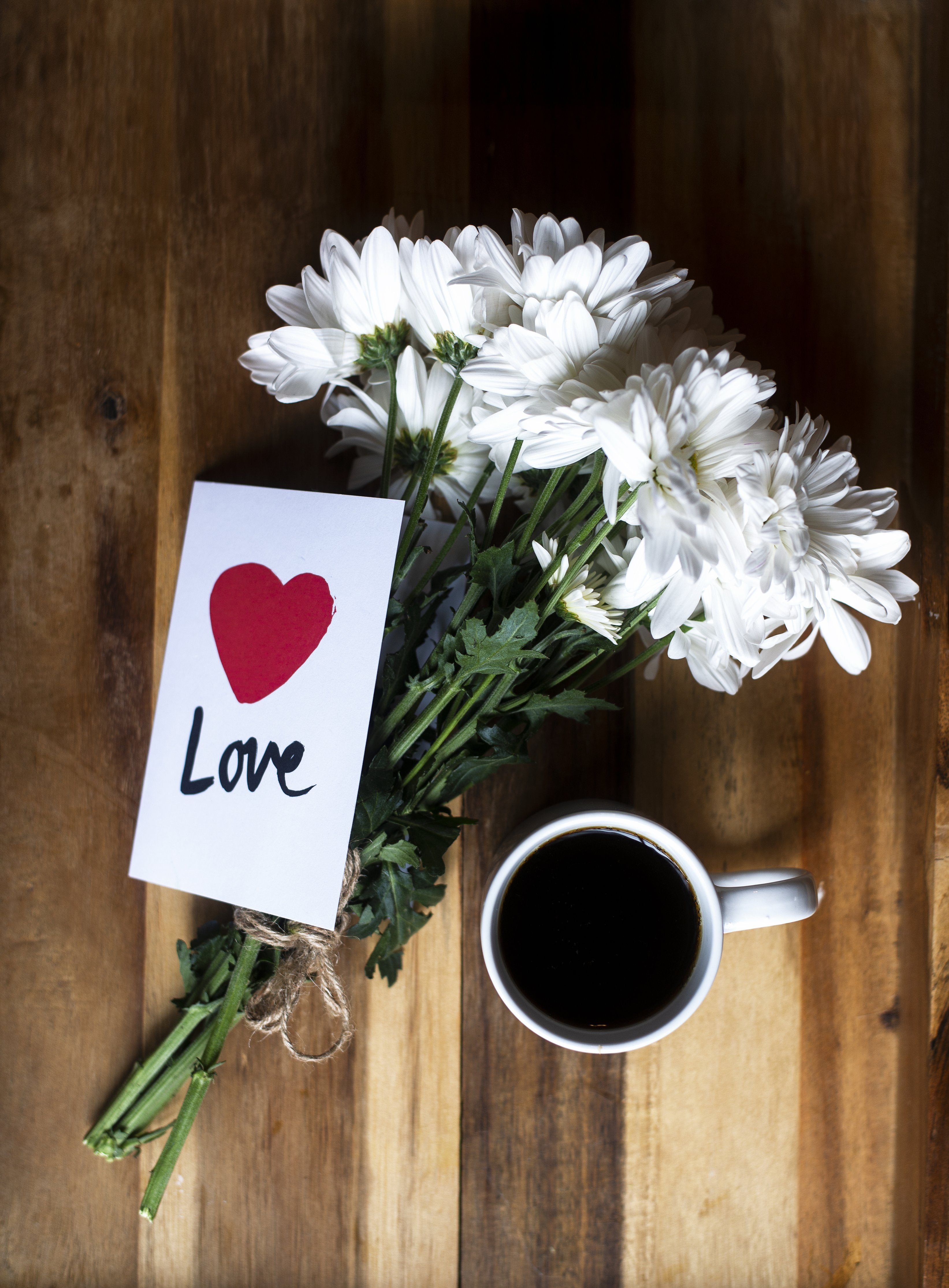 Declare Your Love for Planet Earth