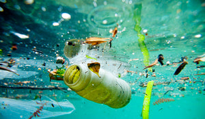 Depressing Facts About Plastic Pollution and What We Can Do About It!