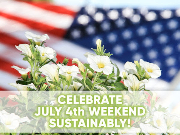 Celebrate July 4th Weekend Sustainably!