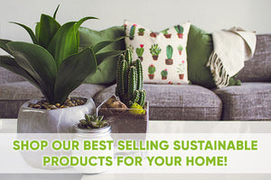 Shop Our Best Selling Sustainable Products For Your Home! 💚
