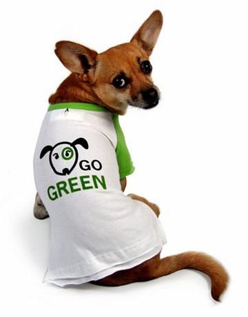 Pet Supplies