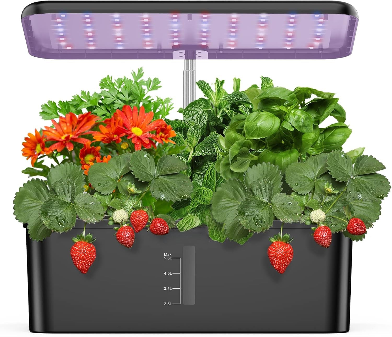 12 Pods Hydroponics Growing System, Indoor Garden with LED Grow Light