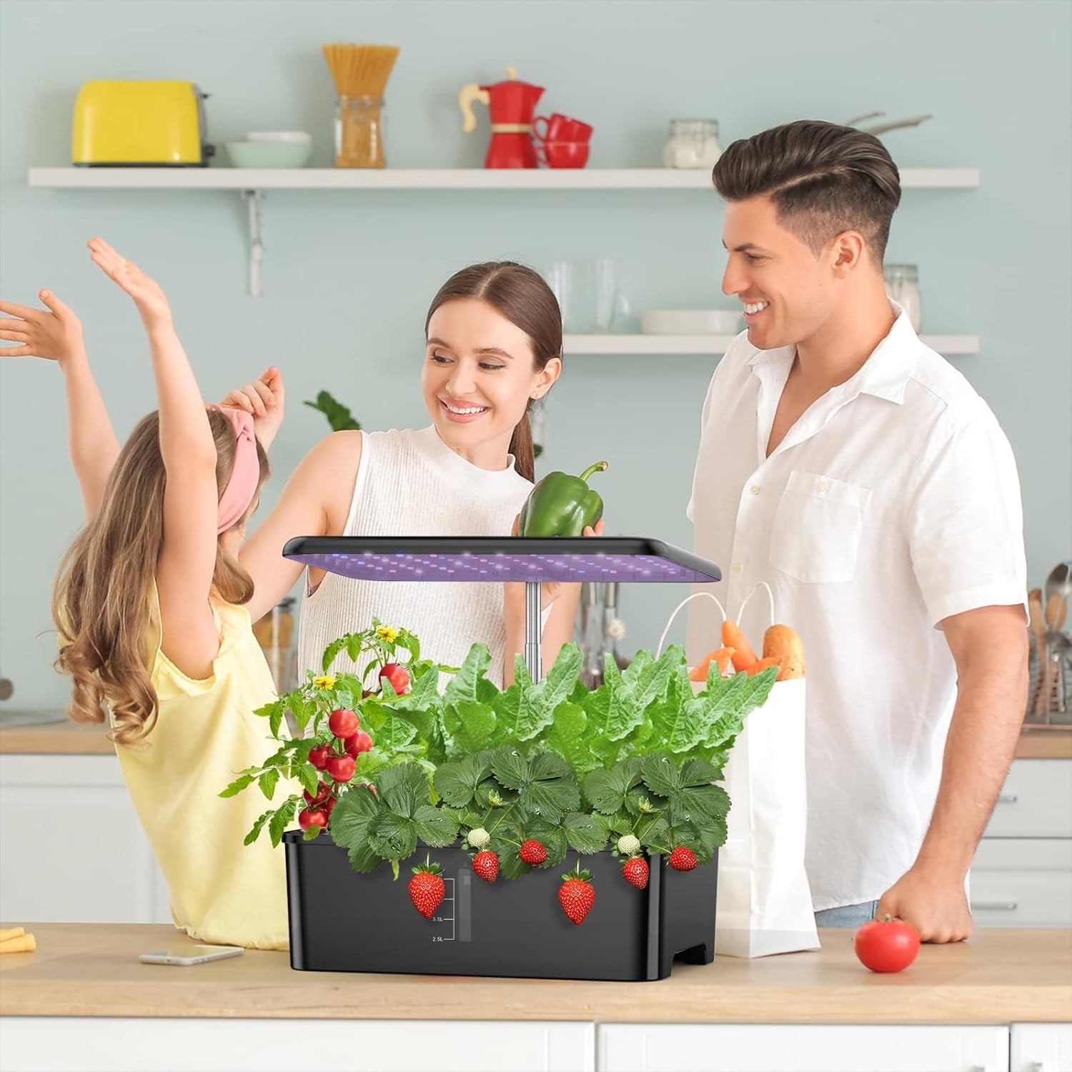12 Pods Hydroponics Growing System, Indoor Garden with LED Grow Light