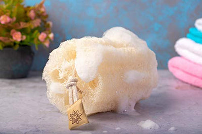 Natural Shower Loofah Sponge - Eco Trade Company
