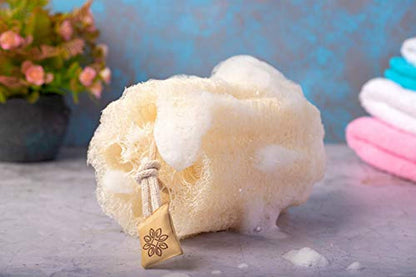 Natural Shower Loofah Sponge - Eco Trade Company