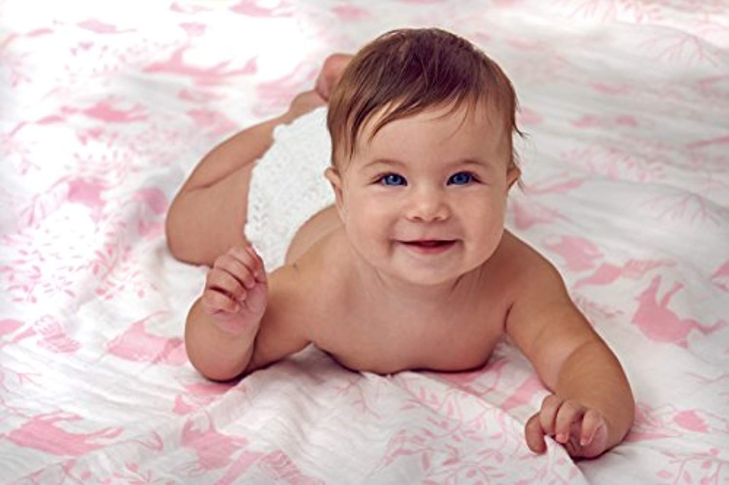 Organic Muslin Baby Toddler Blanket - Eco Trade Company