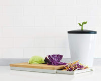 Chef'n EcoCrock Counter Compost Bin - Eco Trade Company