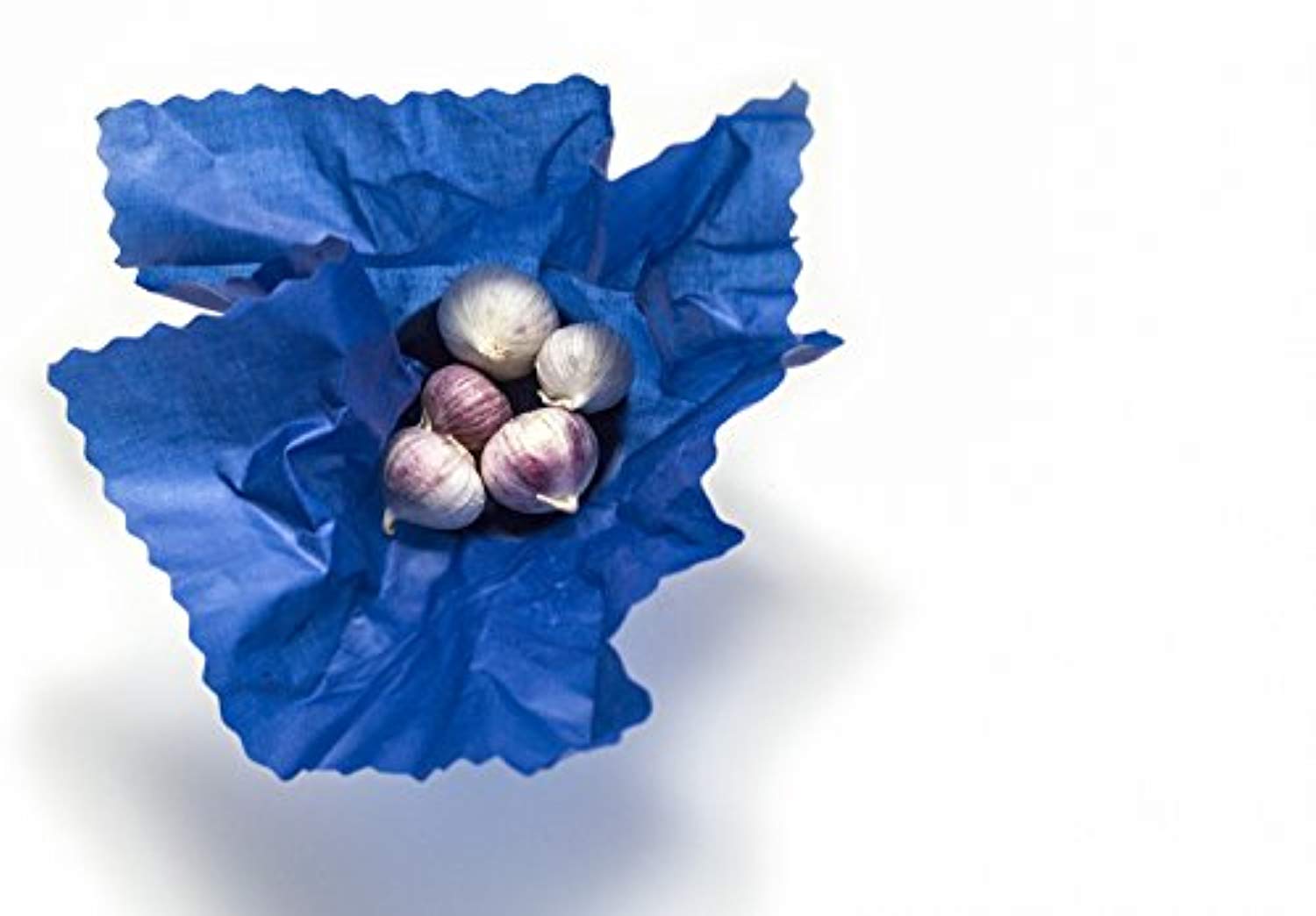 Organic Reusable Beeswax Food Wraps - Biodegradable, Non-Toxic & Plastic Free - Eco Trade Company