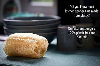 Eco-Friendly Kitchen Washing Up Sponge - Eco Trade Company