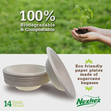 14 oz. Paper Plates Bowls [100-Pack] Brown Compostable Disposable Biodegradable Premium Natural Eco-Friendly - Eco Trade Company