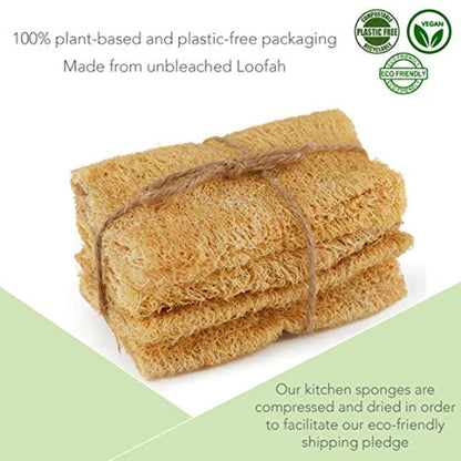 Eco-Friendly Kitchen Washing Up Sponge - Eco Trade Company