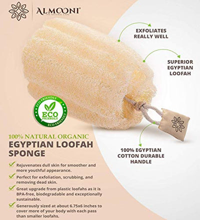 Natural Shower Loofah Sponge - Eco Trade Company