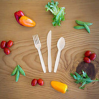 Biodegradable Cutlery - Box of 500 - Plant a Tree With Each Item Purchased! - Eco Trade Company