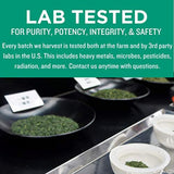 Jade Leaf Matcha Green Tea Powder - Organic, Authentic Japanese Origin - Culinary Grade - Eco Trade Company