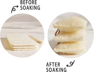 Natural Dish Kitchen Sponges 6 Pack, Biodegradable Eco-Friendly Organic Loofah Plant, 100% Biodegradable - Eco Trade Company