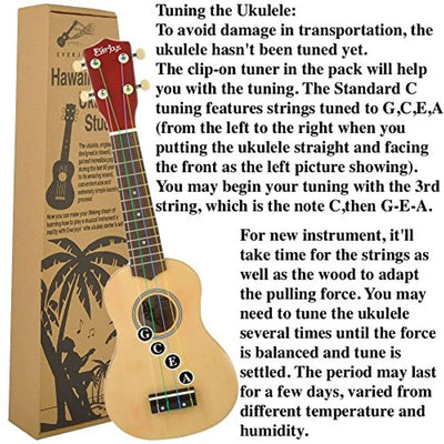 Soprano Ukulele Beginner Pack-21 Inch w/Rainbow String Gig Bag Fast Learn Songbook Digital Tuner All in One Kit - Eco Trade Company