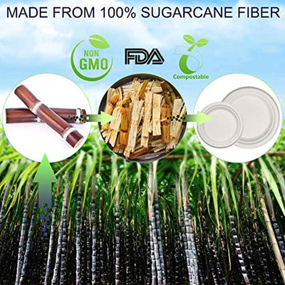 250Pcs Disposable Dinnerware Set, Compostable Sugarcane Cutlery Eco-Friendly - Eco Trade Company