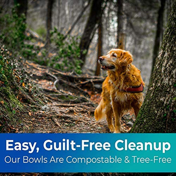 Non toxic pet bowls sale