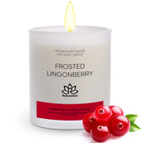 Big Candle in Luxury Matte White Glass Jar Soy Wax Eco-Friendly Clean Burn up to 80 hours - COZY CHRISTMAS Holiday Scent - Made in USA 10 oz - Eco Trade Company