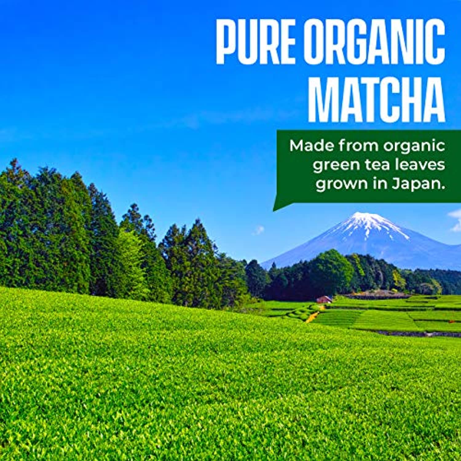 Kiss Me Organics Matcha Green Tea Powder - Organic Japanese Culinary Grade Matcha - Eco Trade Company