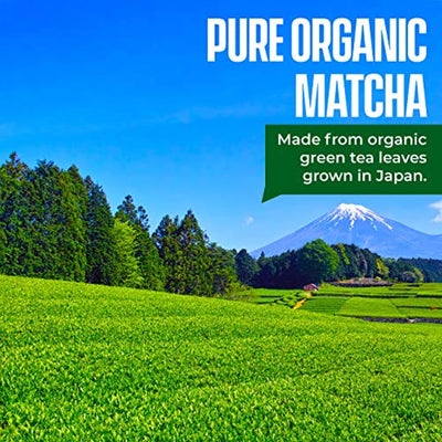 Kiss Me Organics Matcha Green Tea Powder - Organic Japanese Culinary Grade Matcha - Eco Trade Company