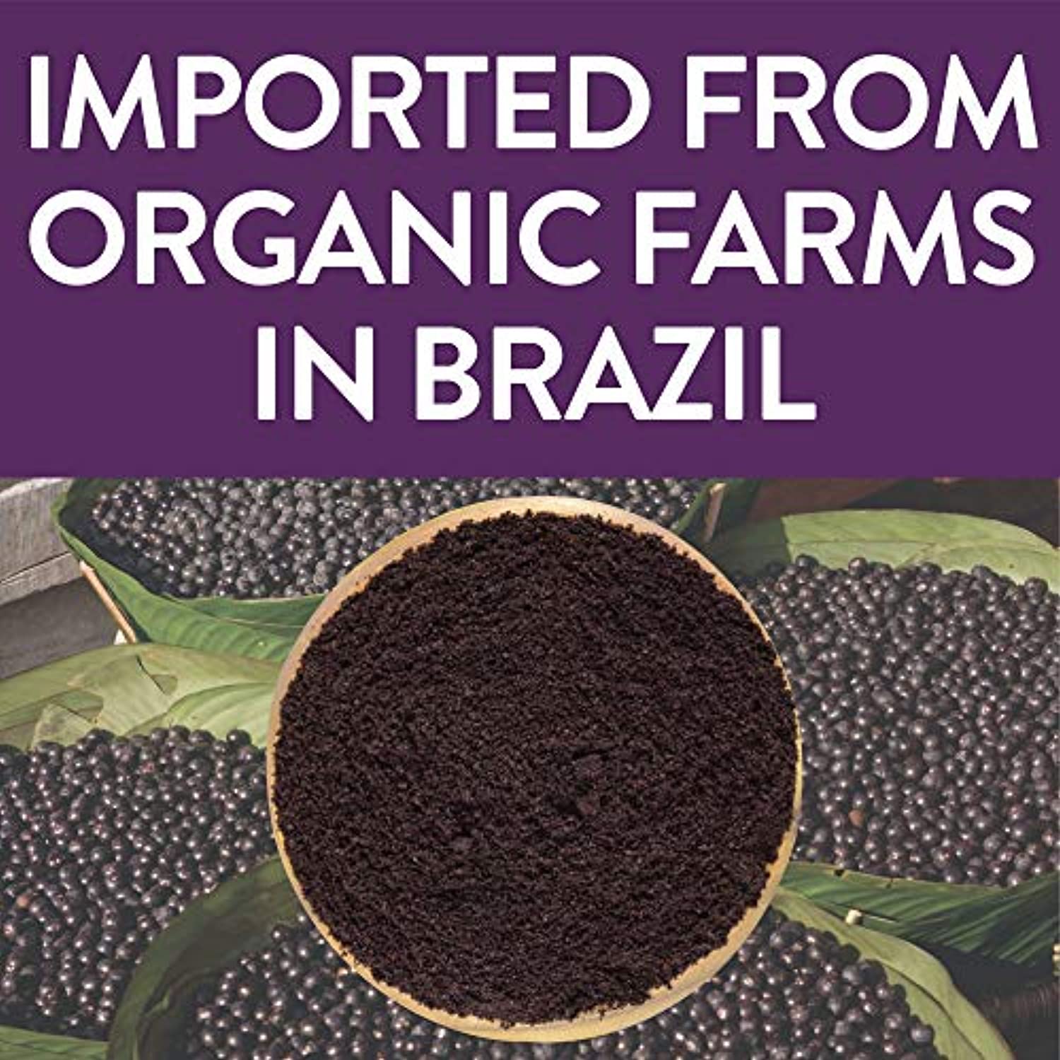 Organic ACAI Powder (Freeze-Dried) Resealable Kraft Bag 100% Raw Antioxidant Superfood Berry From Brazil - Eco Trade Company