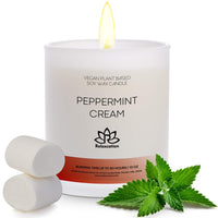 Big Candle in Luxury Matte White Glass Jar Soy Wax Eco-Friendly Clean Burn up to 80 hours - COZY CHRISTMAS Holiday Scent - Made in USA 10 oz - Eco Trade Company
