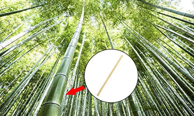 Eco Friendly Biodegradable Stir Sticks - Eco Trade Company
