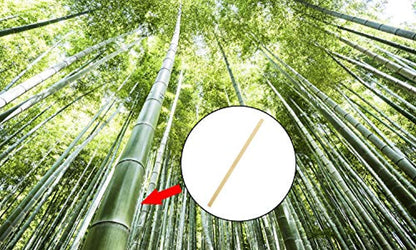 Eco Friendly Biodegradable Stir Sticks - Eco Trade Company