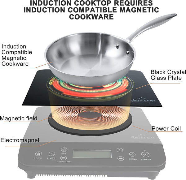 Portable Induction Cooktop 1800-Watt Single Burner Electric Hot Plate  917971SLQ - The Home Depot