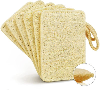 Natural Dish Kitchen Sponges 6 Pack, Biodegradable Eco-Friendly Organic Loofah Plant, 100% Biodegradable - Eco Trade Company