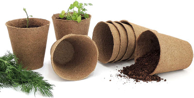 biodegradable planting pots Daniel's Plants Large Peat Pots | Plantable Pots for Starting Seeds Herbs Vegetables & Tomato Seedlings